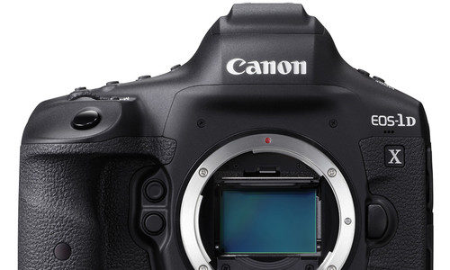 Canon EOS-1D X Mark III Review