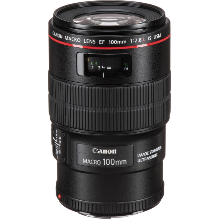 EF 100mm F/2.8L IS Macro Review