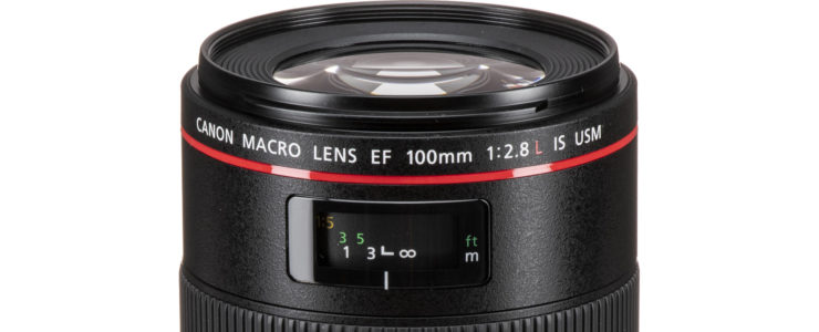 EF 100mm F/2.8L IS Macro Review