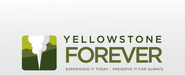 yellowstone national