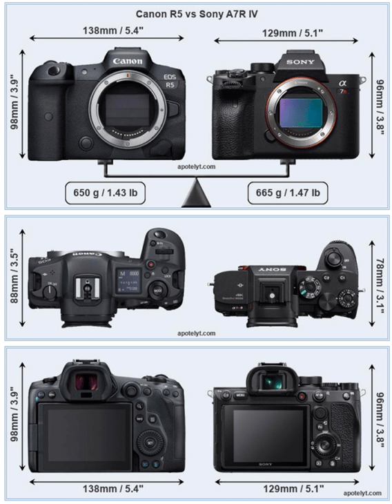 Sony a7r IV vs Canon EOS R5