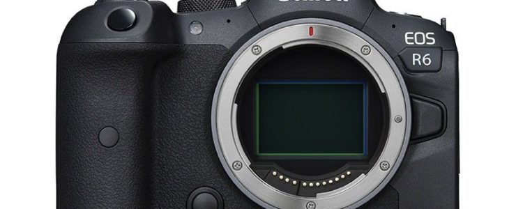canon r6c