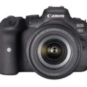 Canon EOS R6 Real World Review (fantastic option for photographers)