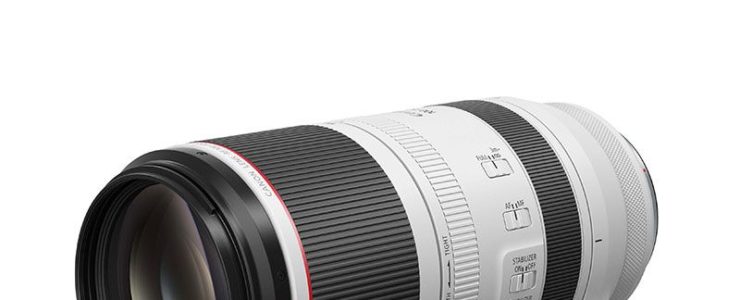 Canon RF 100-500mm F/4.5-7.1L IS Review