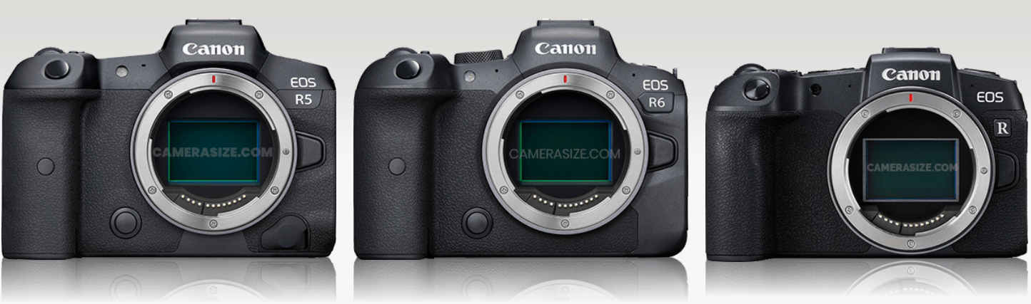 canon r6 r