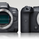Canon EOS R5 Vs EOS R6 Comparison Review (NSFW)