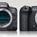 Canon EOS R5 vs EOS R6 vs Others Size Comparison (Nikon and Sony included)