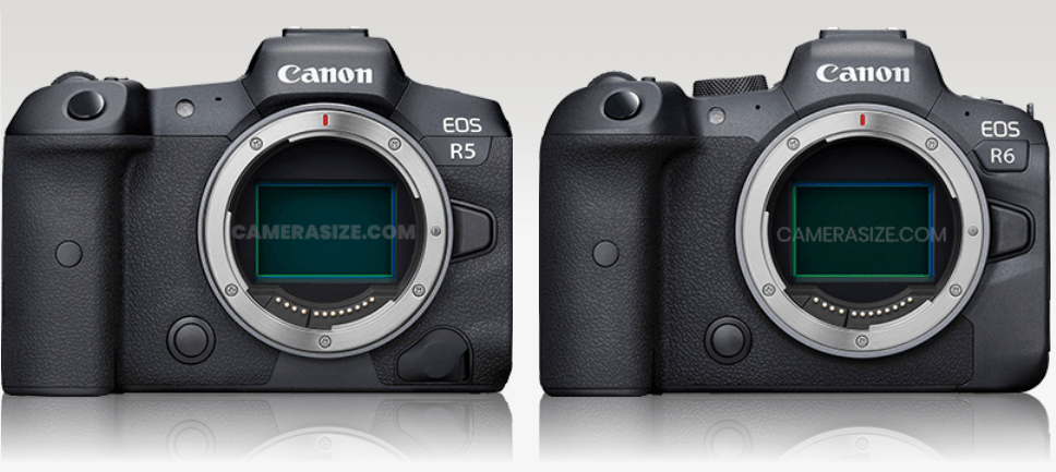 eos r5 vs eos r6 review