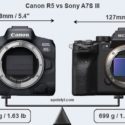 Canon EOS R5 vs EOS R6 vs Sony a7S III For Vlogging Comparison