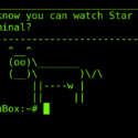 Friday Hacker Blogging: How To Watch Star Wars In Linux Terminal (and Update On Canon Hacker Attack)