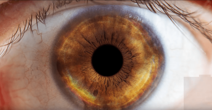 photograph your own eye