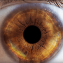 How To Photograph Your Own Eye In Macro Mode (video Tutorial)
