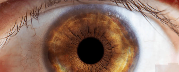 photograph your own eye