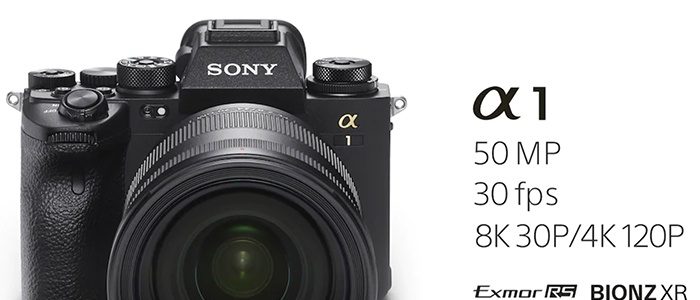 Sony Alpha 1 Vs Canon EOS R3
