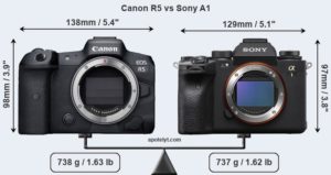 sony alpha 1 vs Canon EOS R5