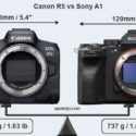 Yet Another Sony Alpha 1 Vs Canon EOS R5 Comparison Review