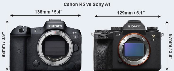 Sony Alpha 1 Vs Canon EOS R5