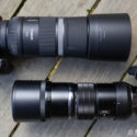 Olympus 300mm f/4 vs Canon RF 600mm f/11 – FF vs 4/3 Comparison