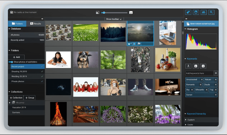 excire foto 2022 excire analytics