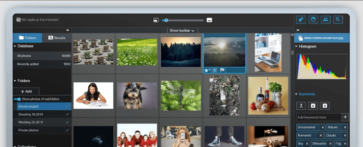 excire foto 2022 excire analytics