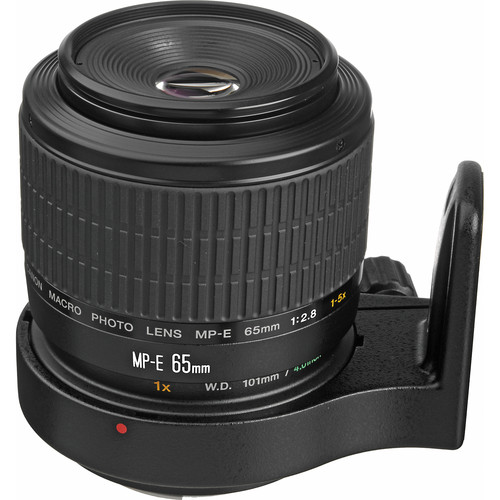 Canon MP-E 65mm F/2.8 1-5x Macro