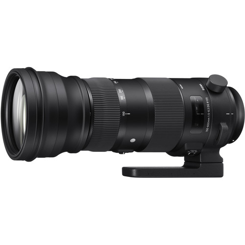 Sigma 150-600mm
