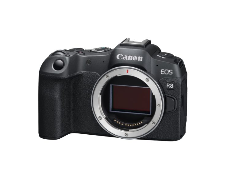 canon eos r8 review