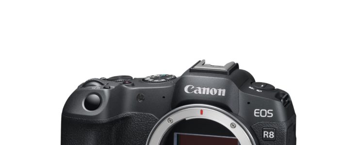 canon eos r8 review