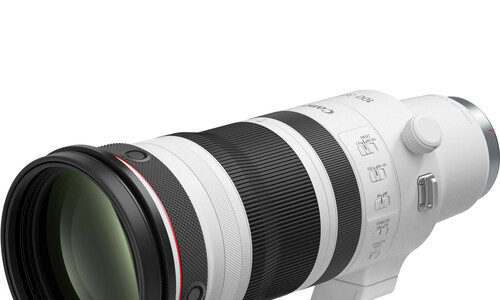 Canon RF 100-300mm F/2.8L IS