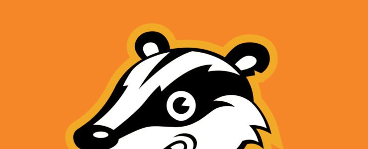 How to use Ublock Origin and Privacy Badger to prevent browser tracking in  Firefox