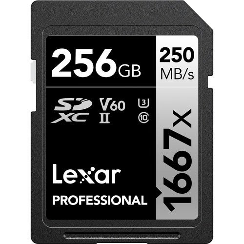 Lexar 256GB Professional