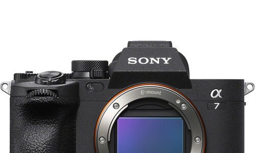 EOS R6 Mark II vs Sony a7 IV