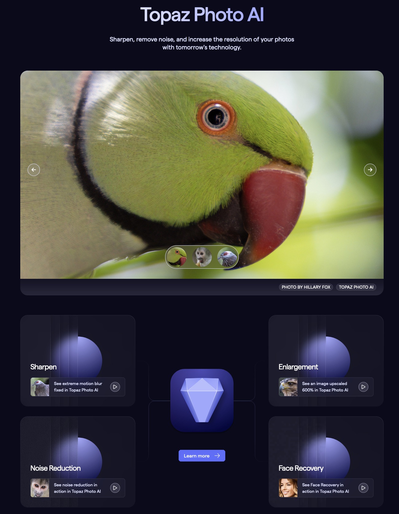 topaz labs