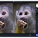 Save 25% On Topaz Photo AI And Video AI (limited Time)