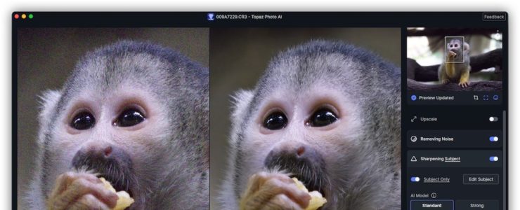 photo ai