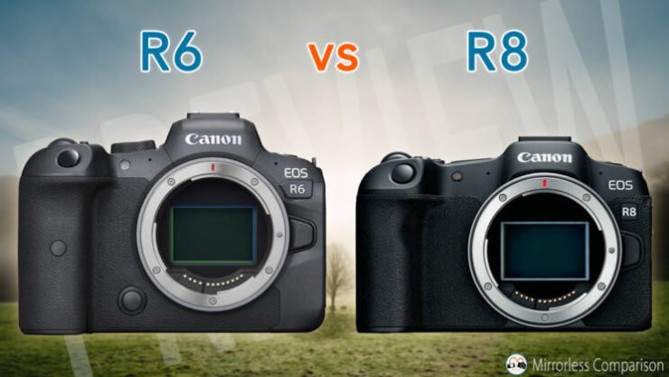 EOS R6 Vs EOS R8