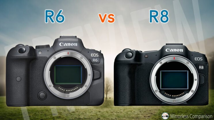 EOS R6 vs EOS R8