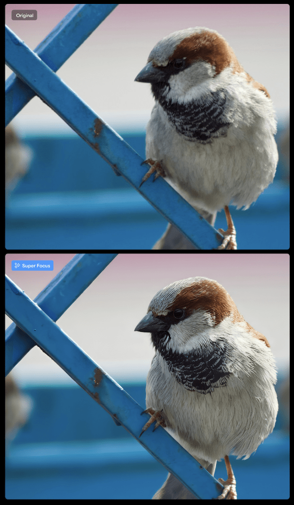 photo ai